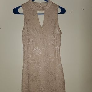 Macys Knee Length Dress.